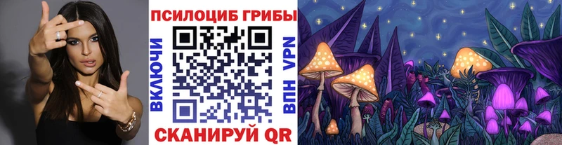 Галлюциногенные грибы прущие грибы Инсар