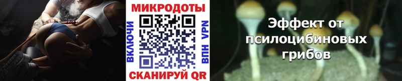 Псилоцибиновые грибы мицелий  где найти наркотики  Инсар 
